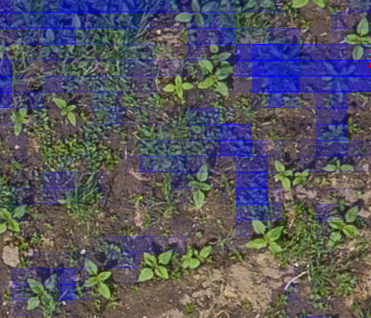 weed_identification_drone.png