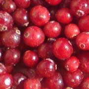 Solex-agro-klikva2.jpg
