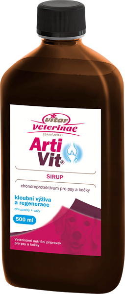 45000002-3D-NMD-ArtiVit-sirup-500ml.png