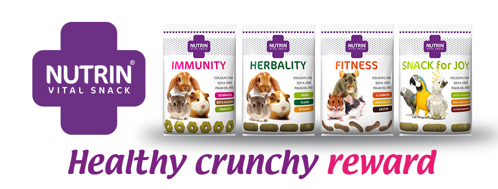 Nutrin-banner-1000x380-vitalsnack_EN-(002).jpg