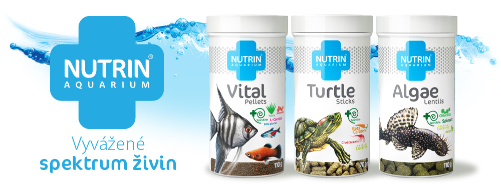Nutrin-web-banner-1000x380px-aquarium11_2016.jpg